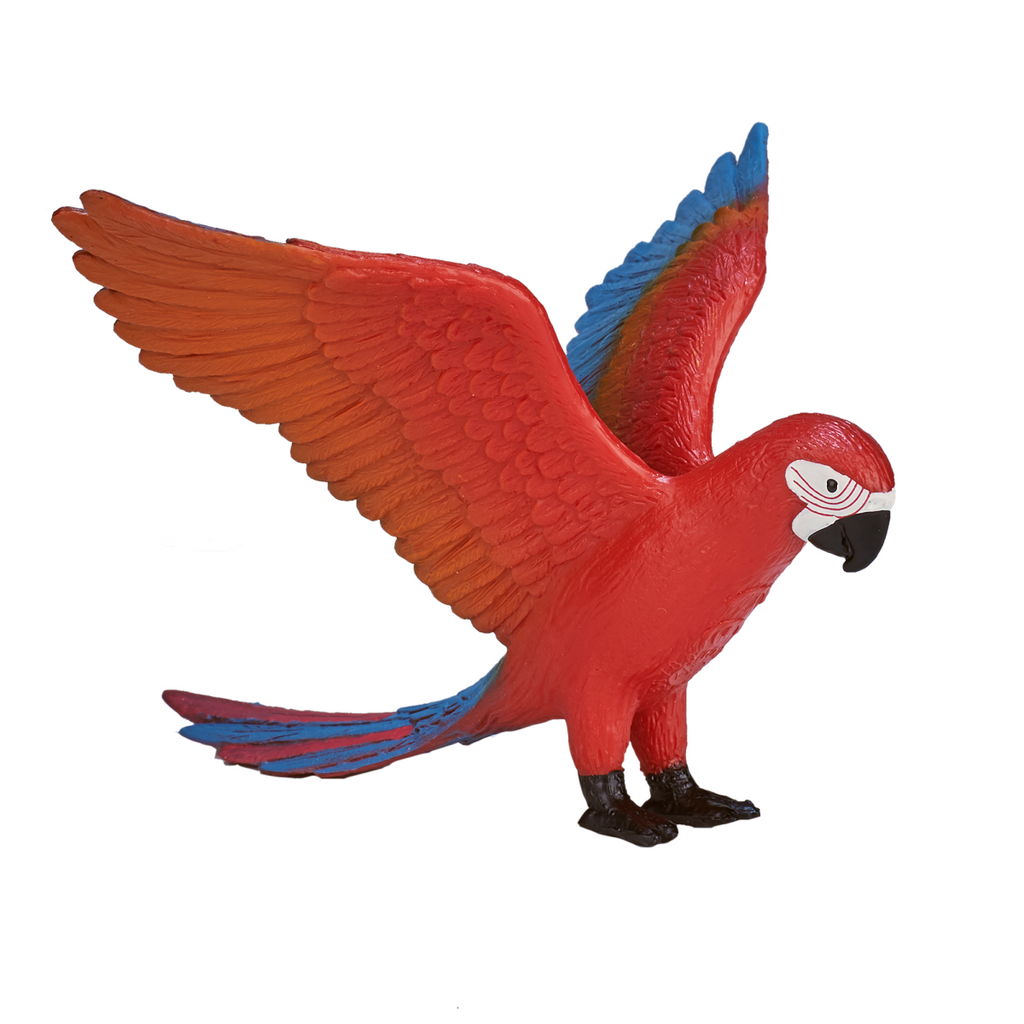Parrot Toy Figure  Realistic Exotic Bird Model