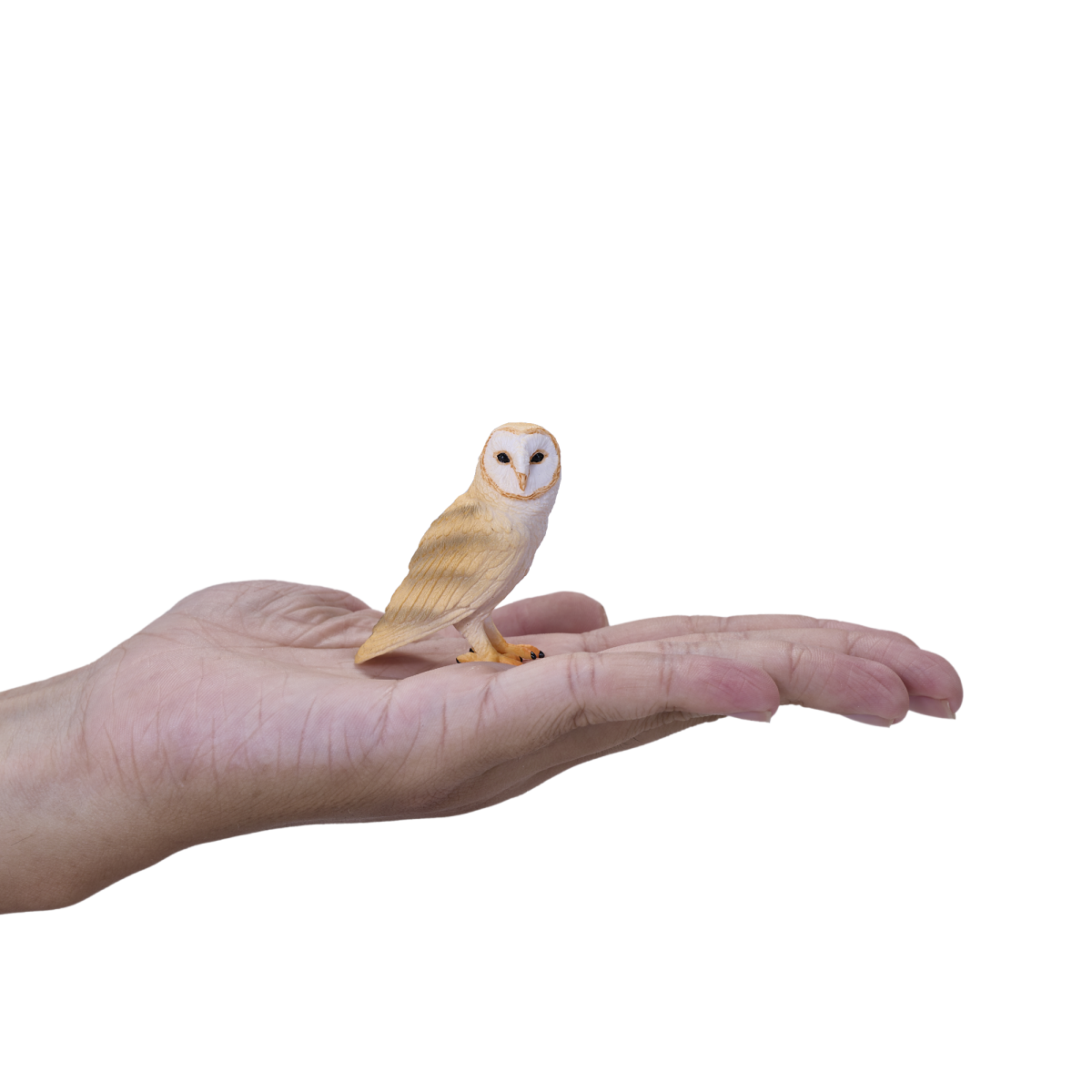 Barn Owl Toy  Realistic Nocturnal Bird Figurine