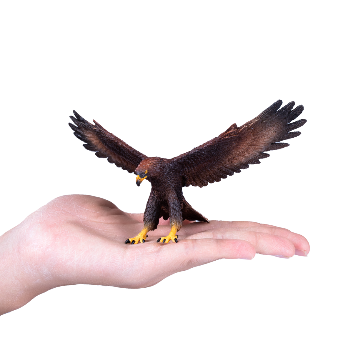 Golden Eagle Toy  Realistic Bird of Prey Figurine
