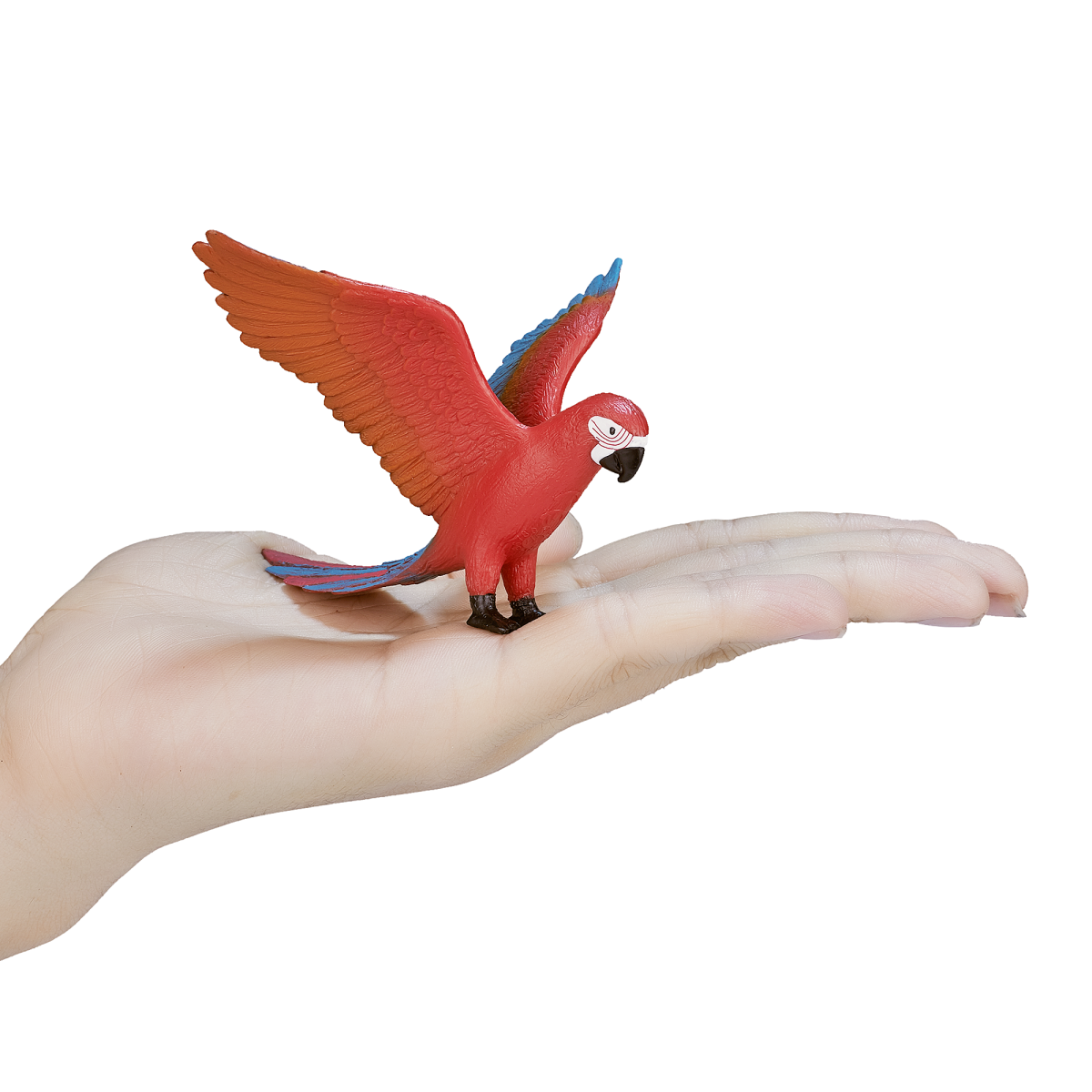 Parrot Toy Figure  Realistic Exotic Bird Model