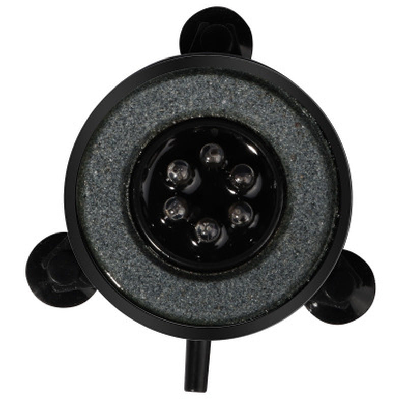 S1005005677493125_15.jpg