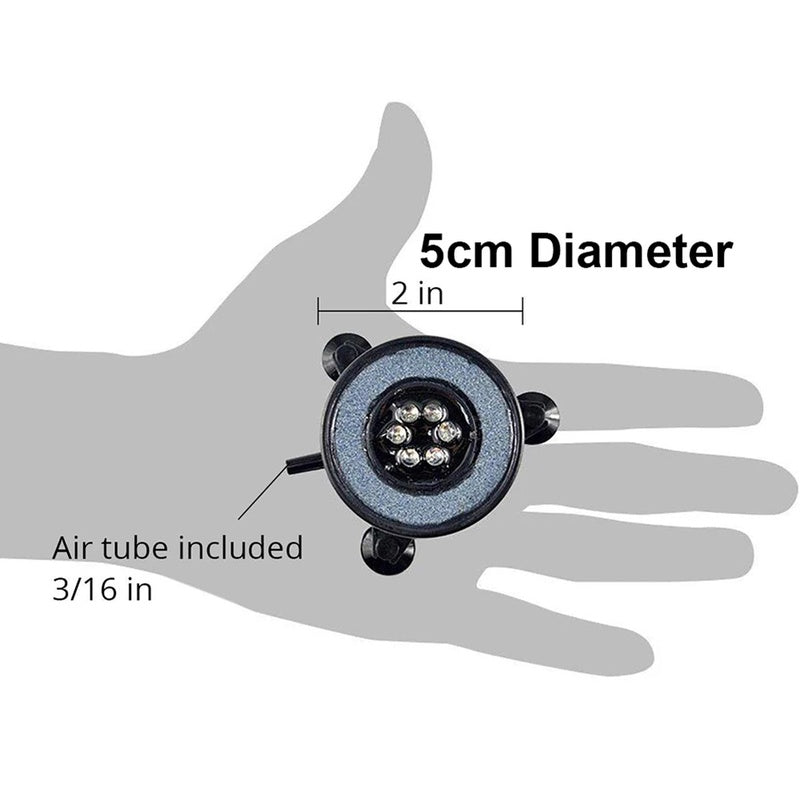 S1005005677493125_16.jpg