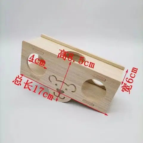 main.png