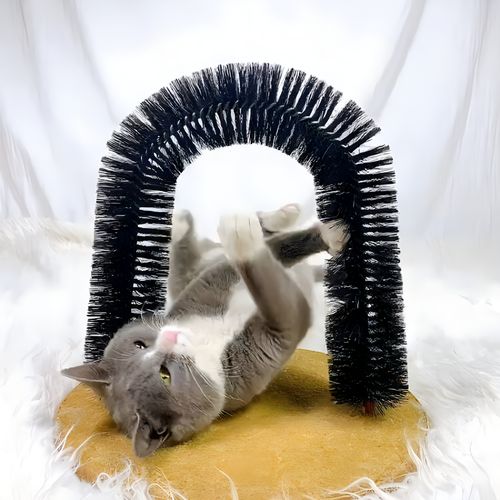 Perfect Cat Scratcher